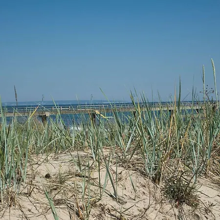 Holiday home Kleines Aber Feines Ferienhaeuschen In Strandnaehe - Tiny Nr 818