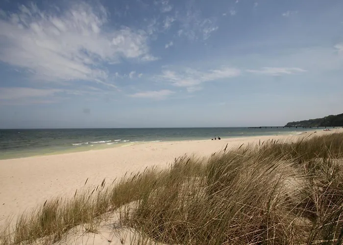 Tiny Nr 818 Holiday home